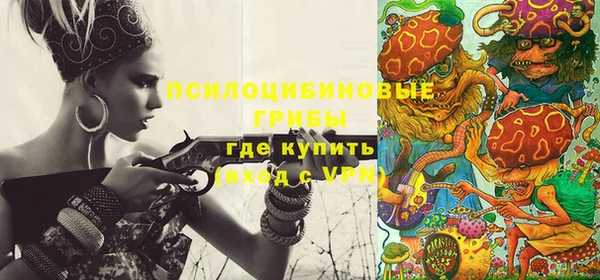 кокс Алзамай